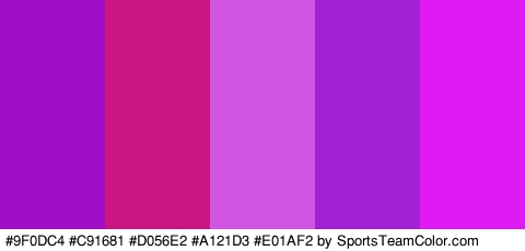 #9F0DC4 #C91681 #D056E2 #A121D3 #E01AF2 Colors