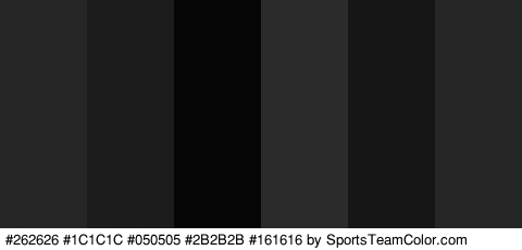 #262626 #1C1C1C #050505 #2B2B2B #161616 #262626 Colors