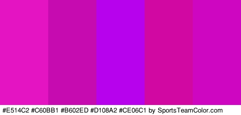 #E514C2 #C60BB1 #B602ED #D108A2 #CE06C1 Colors