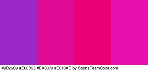 #9D26C9 #E00B95 #EA0079 #E810AE Colors