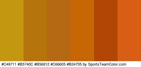 #C49711 #B5740C #B56912 #C66605 #B24705 #D85D15 Colors