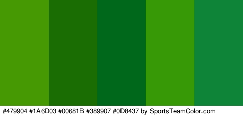 #479904 #1A6D03 #00681B #389907 #0D8437 Colors