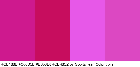 #CE188E #C60D5E #E858E8 #DB48C2 Colors