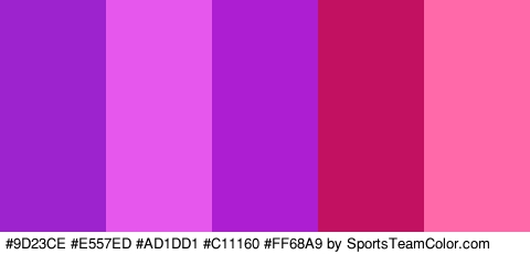 #9D23CE #E557ED #AD1DD1 #C11160 #FF68A9 Colors