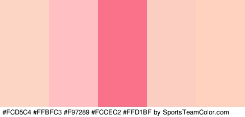 #FCD5C4 #FFBFC3 #F97289 #FCCEC2 #FFD1BF Colors