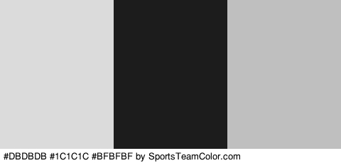 #DBDBDB #1C1C1C #BFBFBF Colors