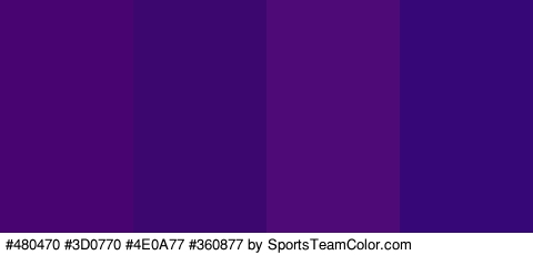 #480470 #3D0770 #4E0A77 #360877 Colors