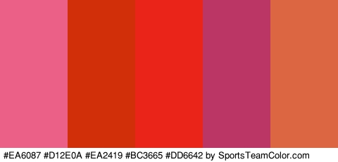 #EA6087 #D12E0A #EA2419 #BC3665 #DD6642 Colors