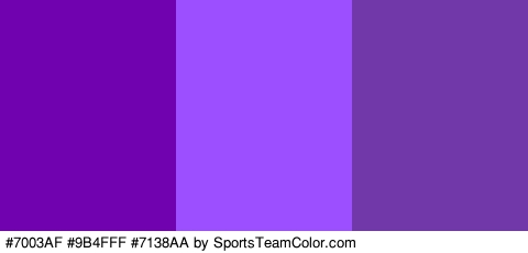 #7003AF #9B4FFF #7138AA Colors