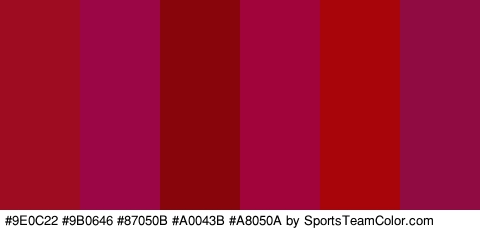 #9E0C22 #9B0646 #87050B #A0043B #A8050A #910B43 Colors