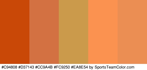 #C94808 #D37143 #CC9A4B #FC9250 #EA8E54 Colors