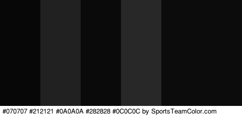 #070707 #212121 #0A0A0A #282828 #0C0C0C #0C0C0C Colors