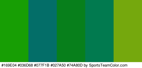 #169E04 #036D68 #077F1B #027A50 #74A80D Colors