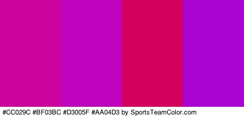 #CC029C #BF03BC #D3005F #AA04D3 Colors