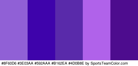 #8F60D6 #3E03AA #592AAA #B162EA #4D0B8E Colors