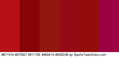 #B71016 #870507 #91170E #960A16 #930E0B #9B0043 Colors