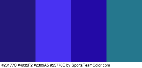 #23177C #4932F2 #2309A5 #25778E Colors