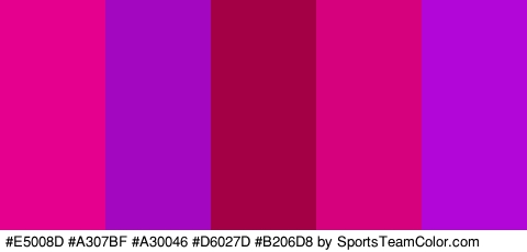 #E5008D #A307BF #A30046 #D6027D #B206D8 Colors