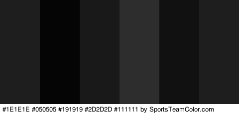 #1E1E1E #050505 #191919 #2D2D2D #111111 #1E1E1E Colors