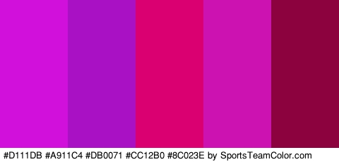 #D111DB #A911C4 #DB0071 #CC12B0 #8C023E Colors