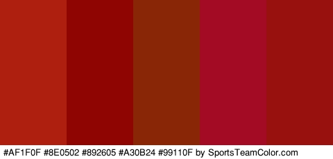 #AF1F0F #8E0502 #892605 #A30B24 #99110F Colors