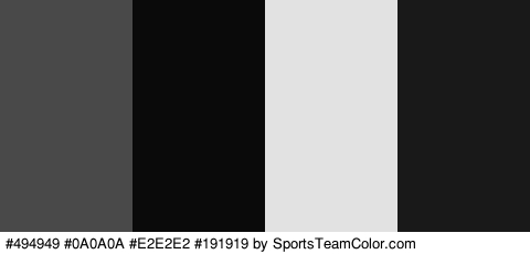 #494949 #0A0A0A #E2E2E2 #191919 Colors