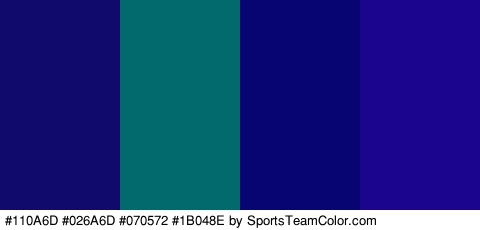 #110A6D #026A6D #070572 #1B048E Colors