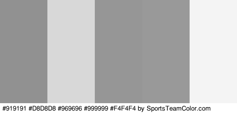 #919191 #D8D8D8 #969696 #999999 #F4F4F4 Colors