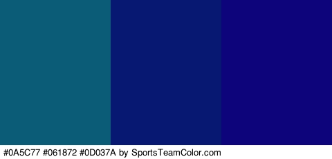 #0A5C77 #061872 #0D037A Colors