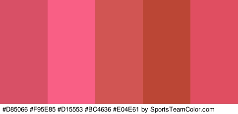 #D85066 #F95E85 #D15553 #BC4636 #E04E61 Colors