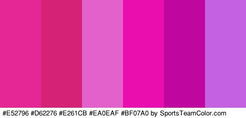 #E52796 #D62276 #E261CB #EA0EAF #BF07A0 #C461E2 Colors