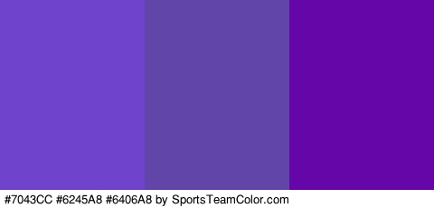 #7043CC #6245A8 #6406A8 Colors