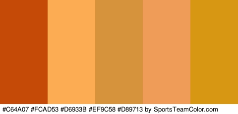 #C64A07 #FCAD53 #D6933B #EF9C58 #D89713 Colors