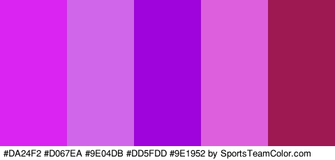 #DA24F2 #D067EA #9E04DB #DD5FDD #9E1952 Colors