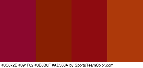 #8C072E #891F02 #8E0B0F #AD380A Colors