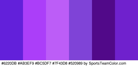 #6220DB #AB3EF9 #BC5DF7 #7F43D8 #520989 #6F21CE Colors