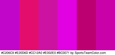 #C206C9 #E20D6D #CC12A0 #E002E0 #BC0071 #C902A8 Colors