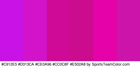 #C912E5 #D313CA #CE0A96 #CC0C8F #E502A8 #CC14AA Colors