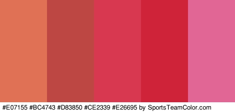 #E07155 #BC4743 #D83850 #CE2339 #E26695 Colors