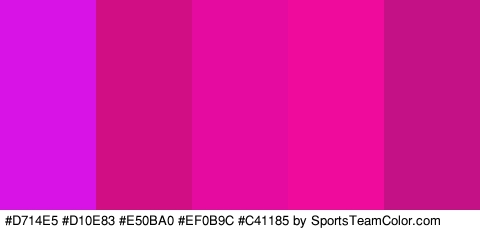 #D714E5 #D10E83 #E50BA0 #EF0B9C #C41185 Colors