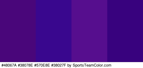 #48067A #38078E #570E8E #38027F Colors