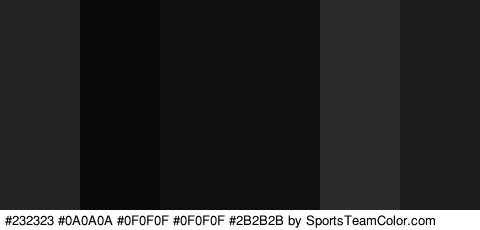 #232323 #0A0A0A #0F0F0F #0F0F0F #2B2B2B #1C1C1C Colors