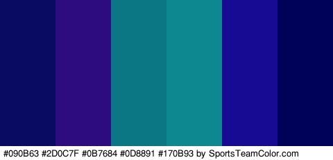 #090B63 #2D0C7F #0B7684 #0D8891 #170B93 #000259 Colors