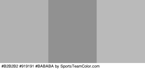 #B2B2B2 #919191 #BABABA Colors