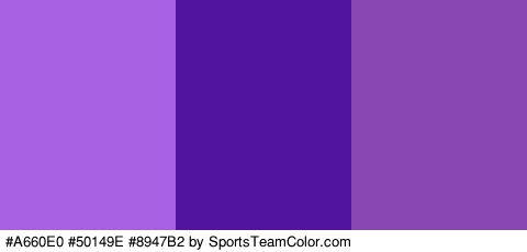 #A660E0 #50149E #8947B2 Colors