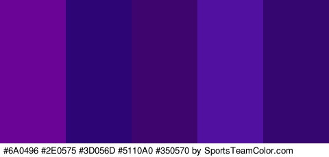 #6A0496 #2E0575 #3D056D #5110A0 #350570 Colors