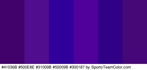 #41036B #500E8E #31009B #50009B #300187 #470877 Colors