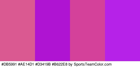 #DB5991 #AE14D1 #D3419B #B622E8 Colors