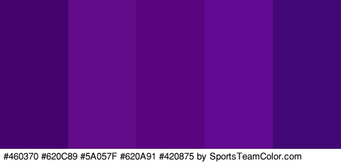 #460370 #620C89 #5A057F #620A91 #420875 Colors