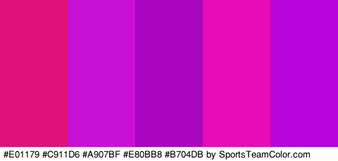 #E01179 #C911D6 #A907BF #E80BB8 #B704DB Colors